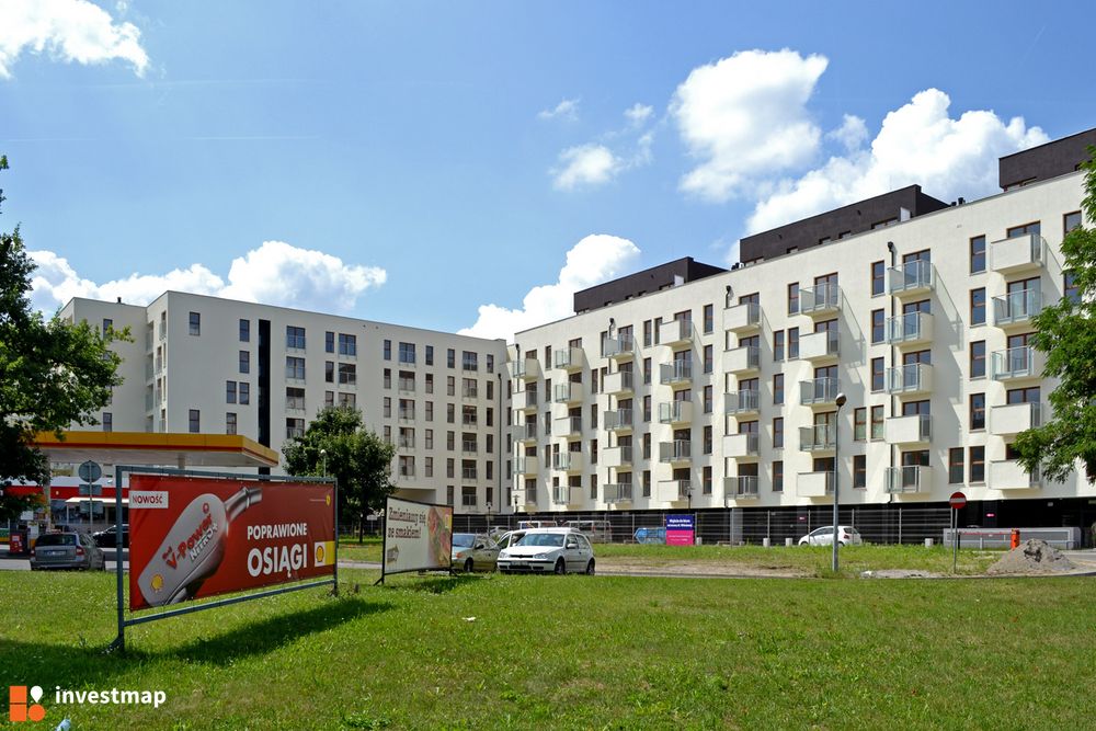 80229_1000x.jpg