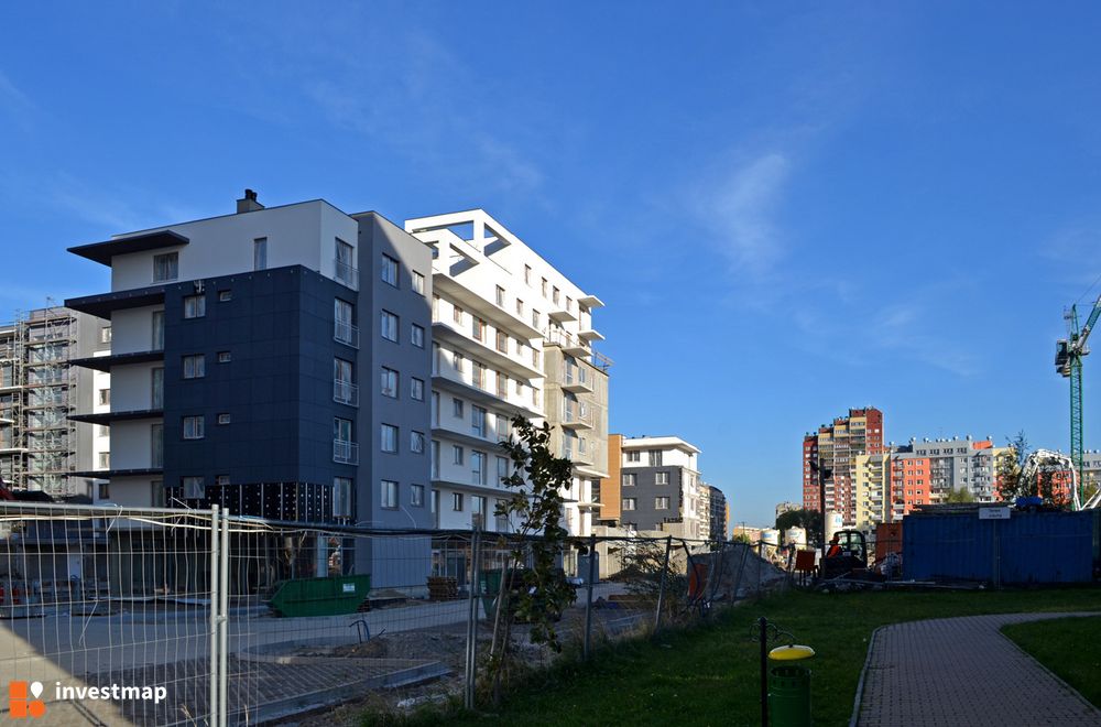 87397_1000x.jpg