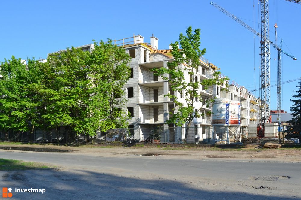 39533_1000x.jpg
