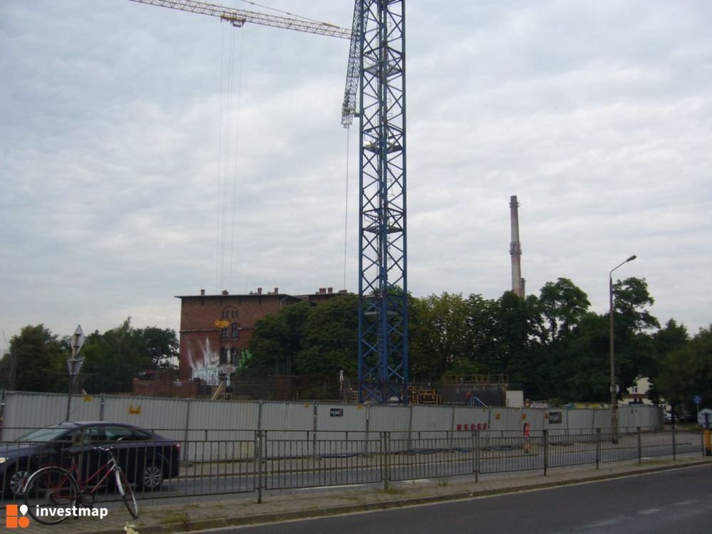 81005_1000x.jpg