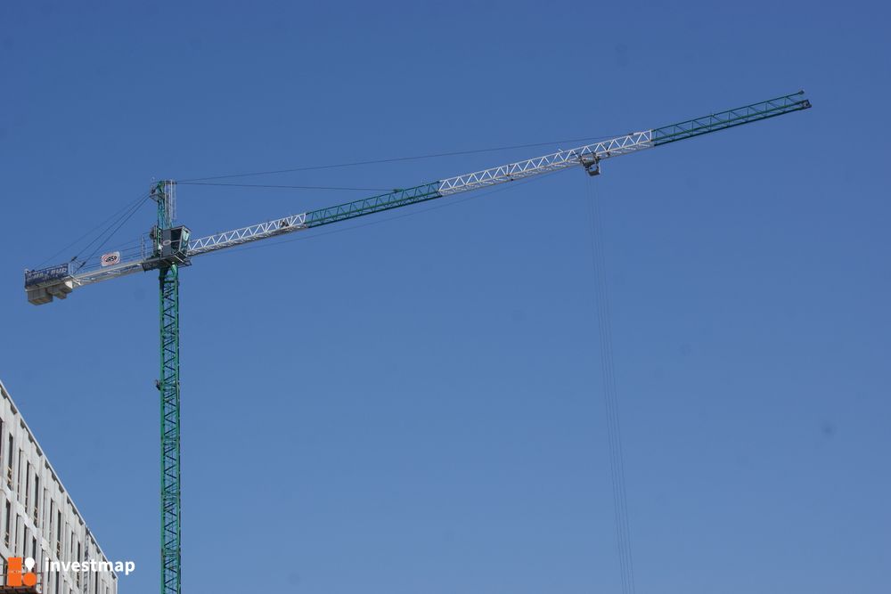 149102_1000x.jpg
