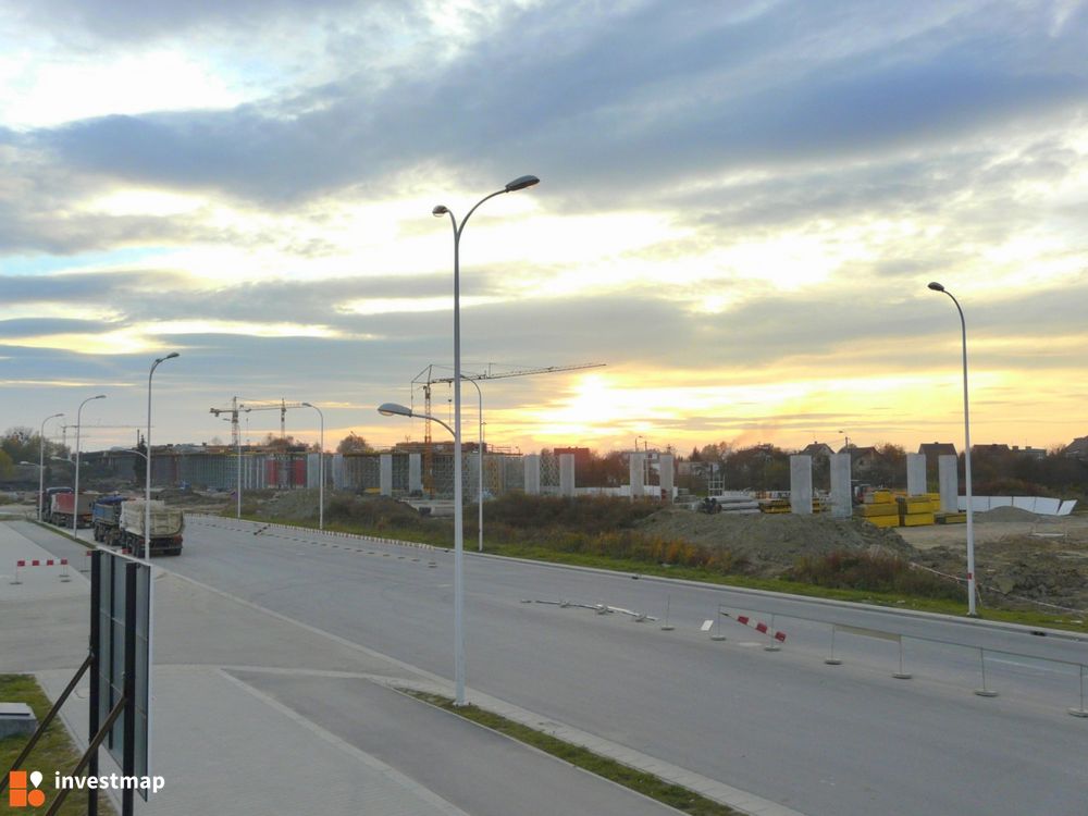 10356_1000x.jpg