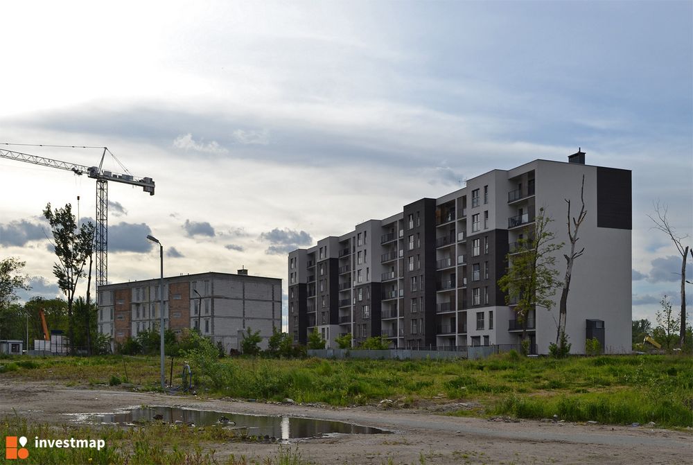 109429_1000x.jpg