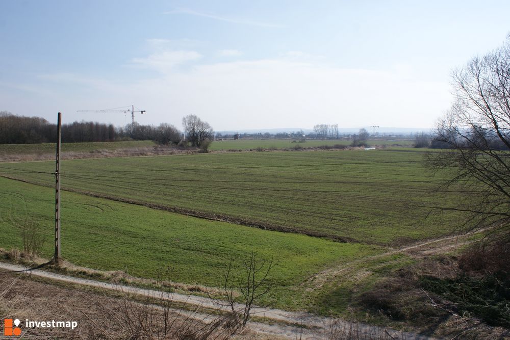 150392_1000x.jpg