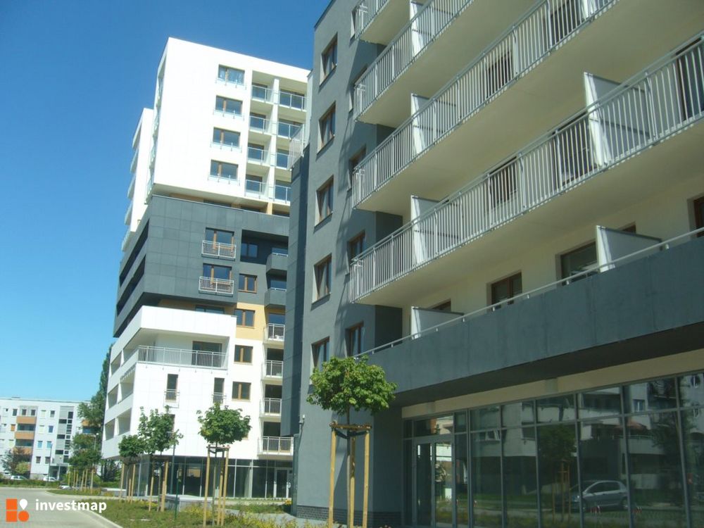 112761_1000x.jpg
