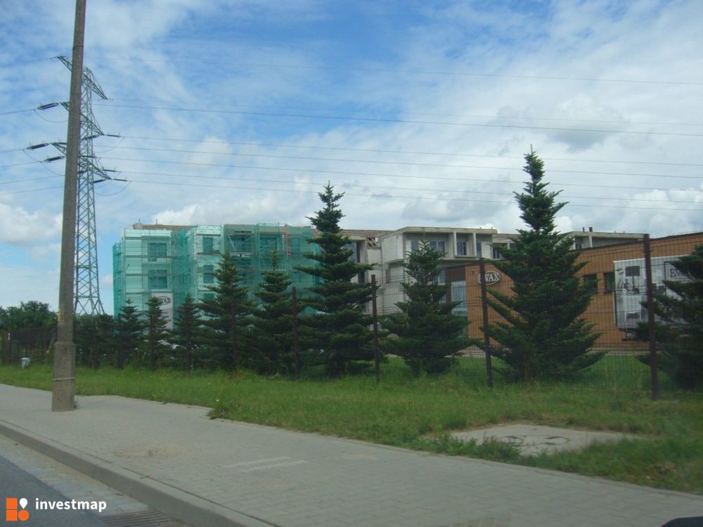 44921_1000x.jpg