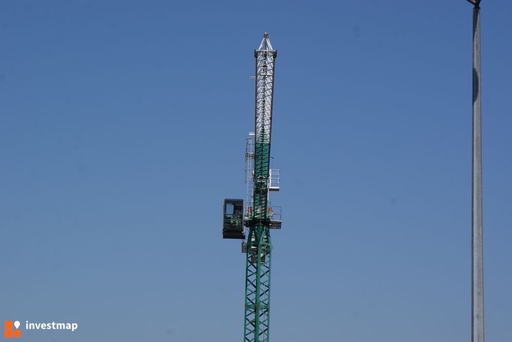 149118_1000x.jpg