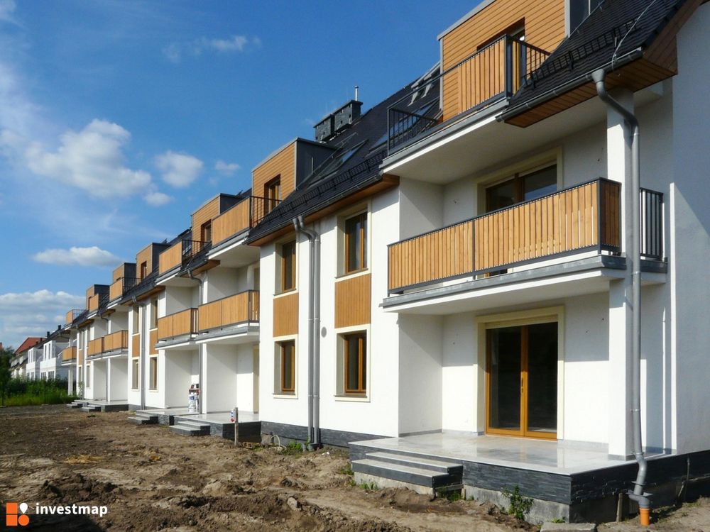 20098_1000x.jpg
