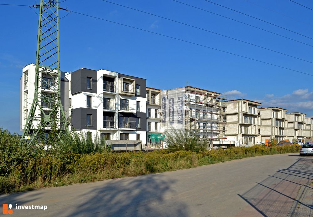 48910_1000x.jpg