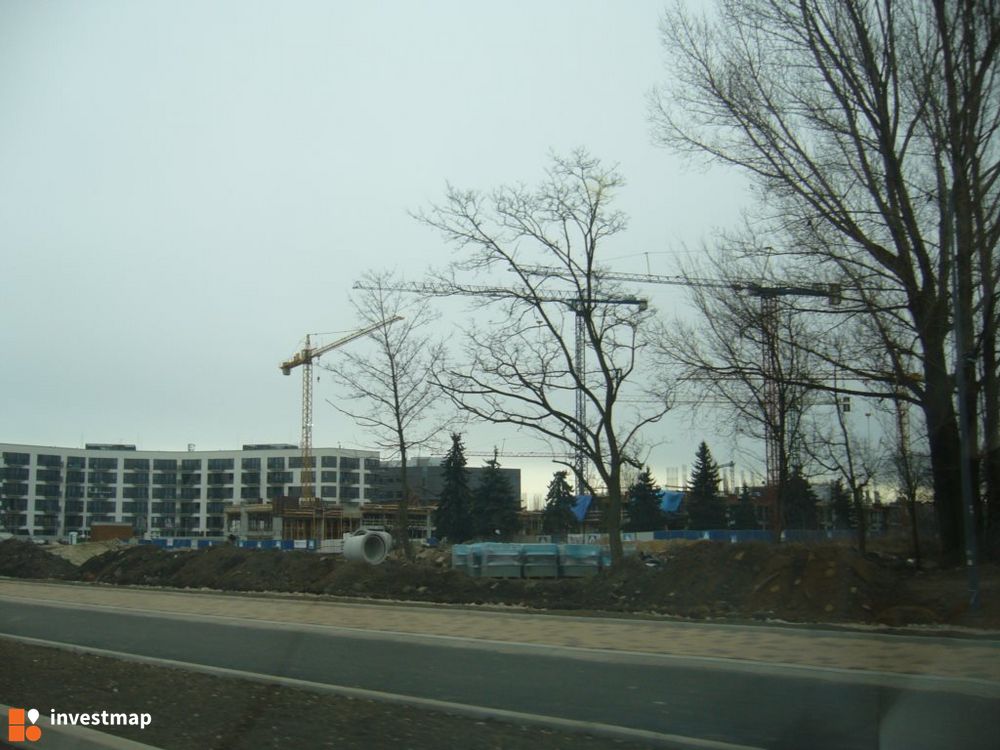 97551_1000x.jpg