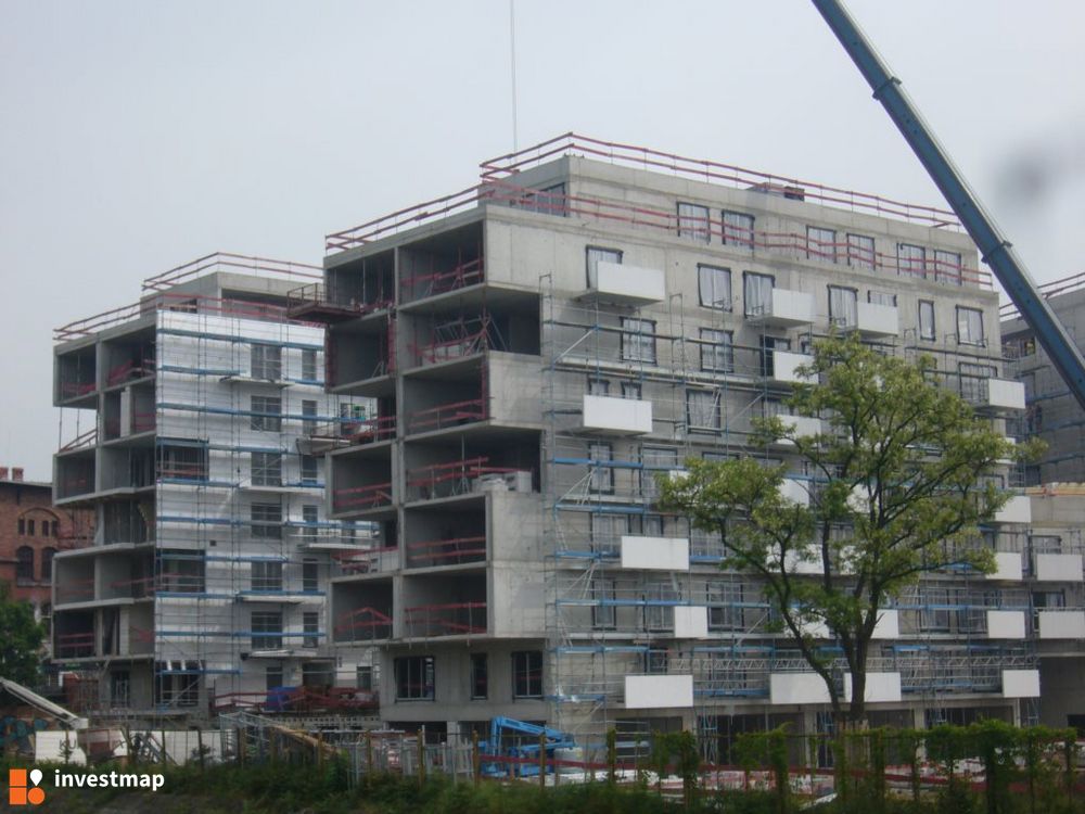 110097_1000x.jpg