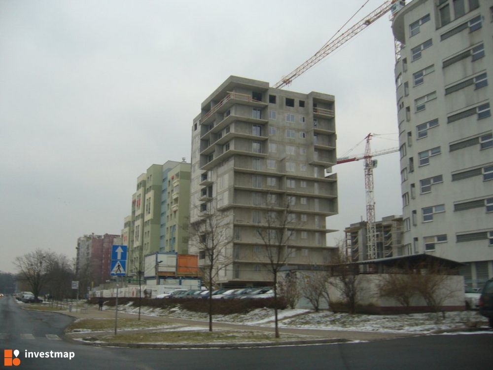 61970_1000x.jpg
