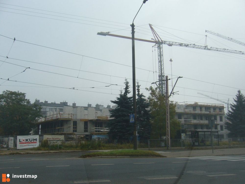 50451_1000x.jpg