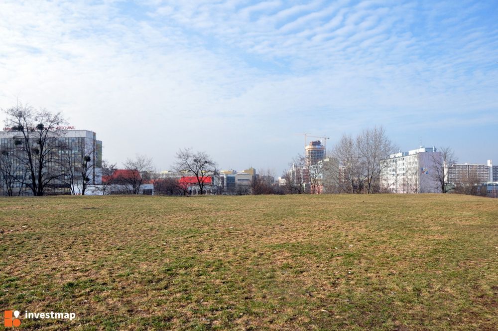 13332_1000x.jpg