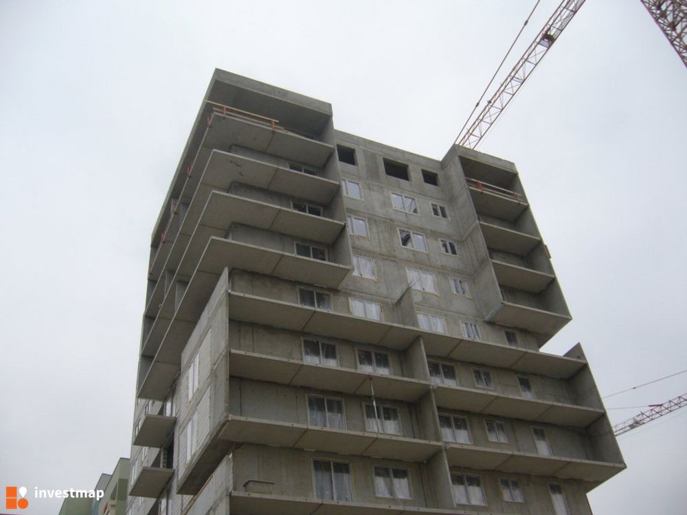 61972_1000x.jpg