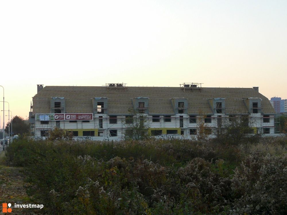 10215_1000x.jpg
