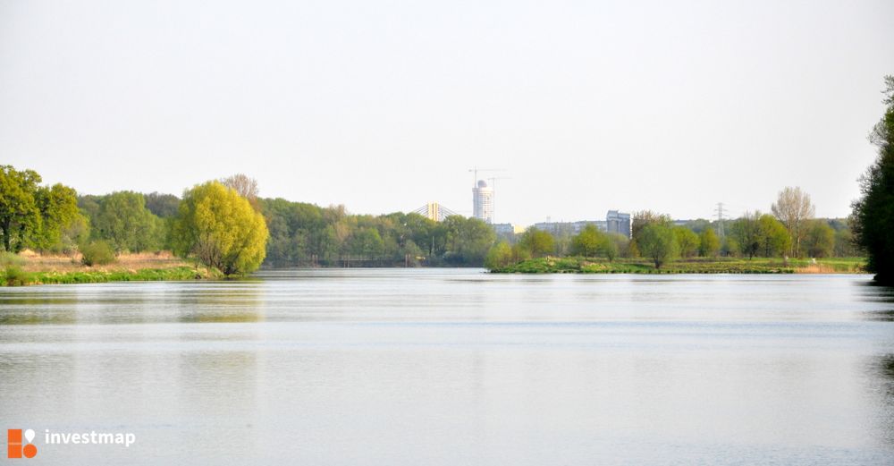 15896_1000x.jpg