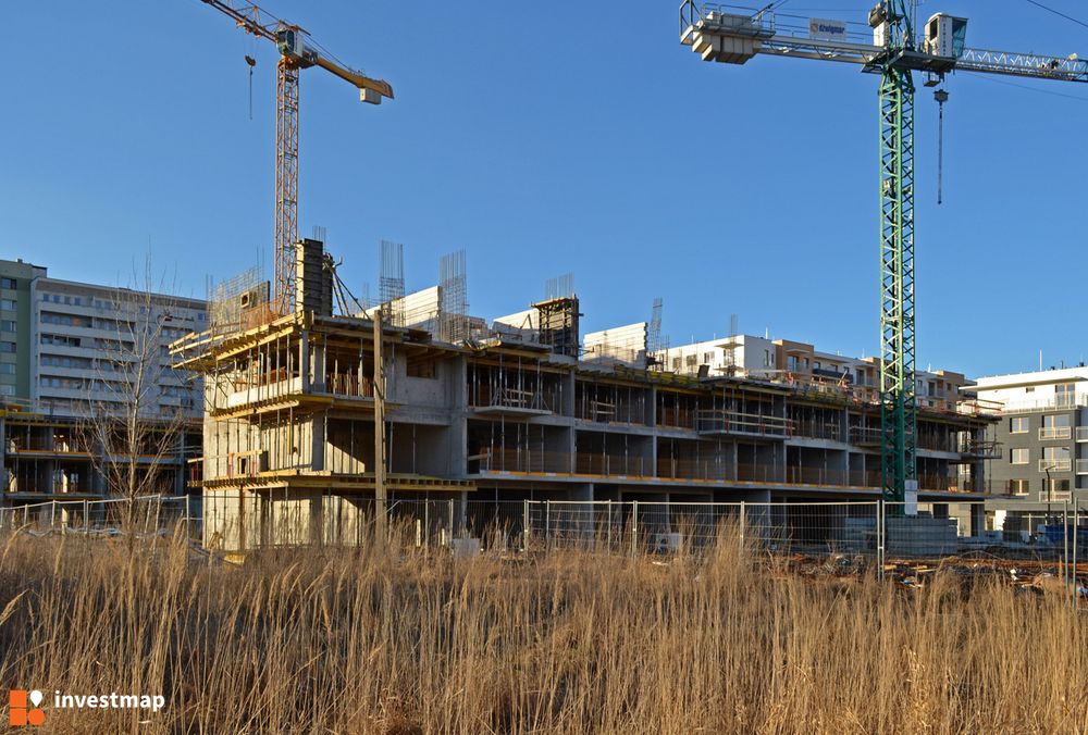 99609_1000x.jpg