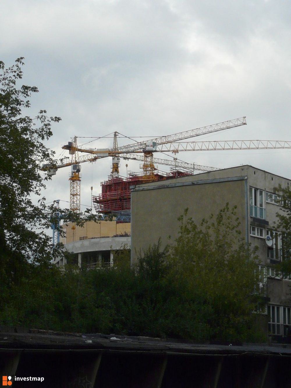 7450_1000x.jpg