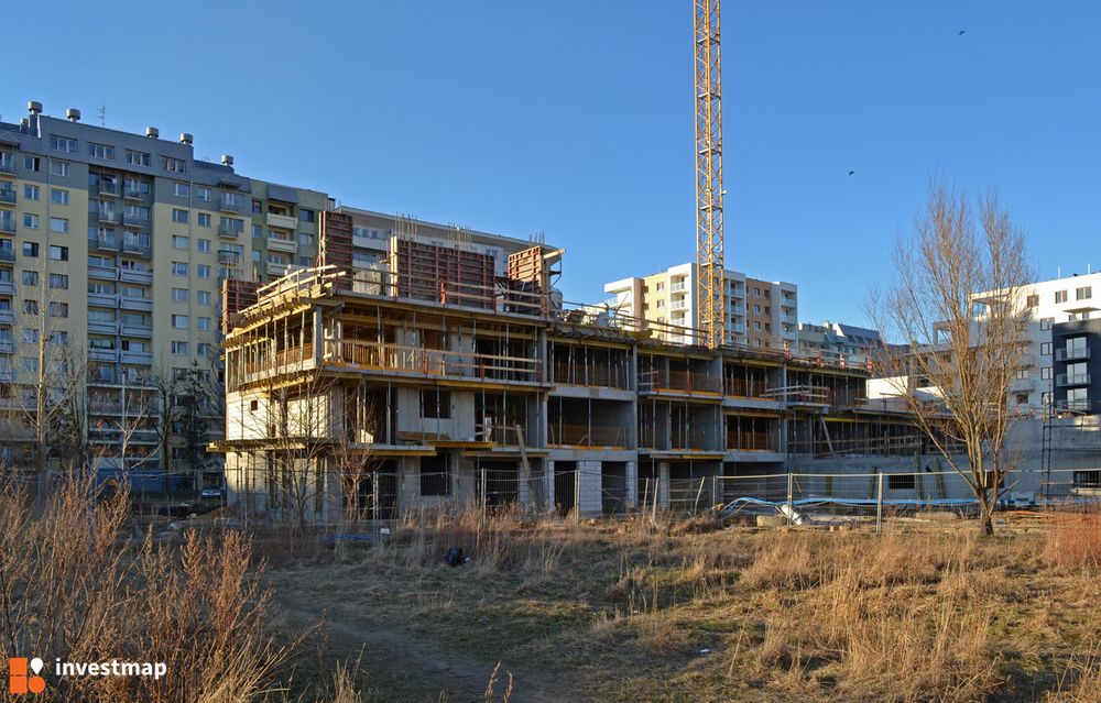 99610_1000x.jpg