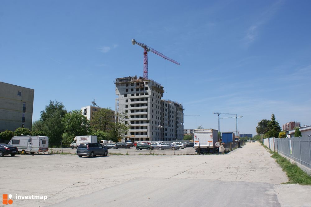163587_1000x.jpg