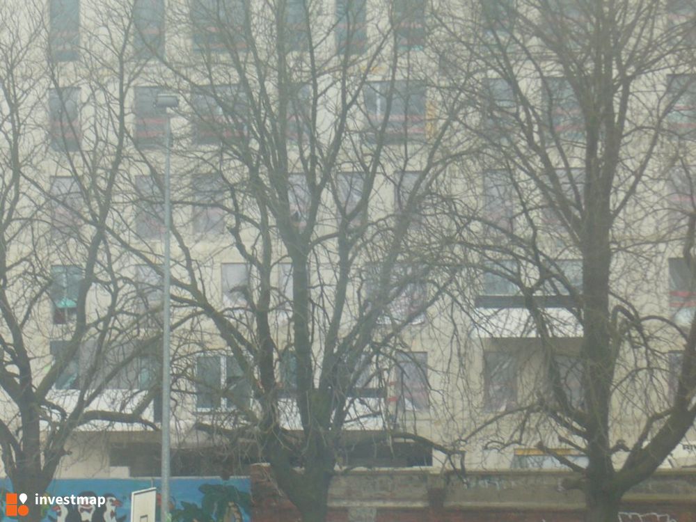 97311_1000x.jpg