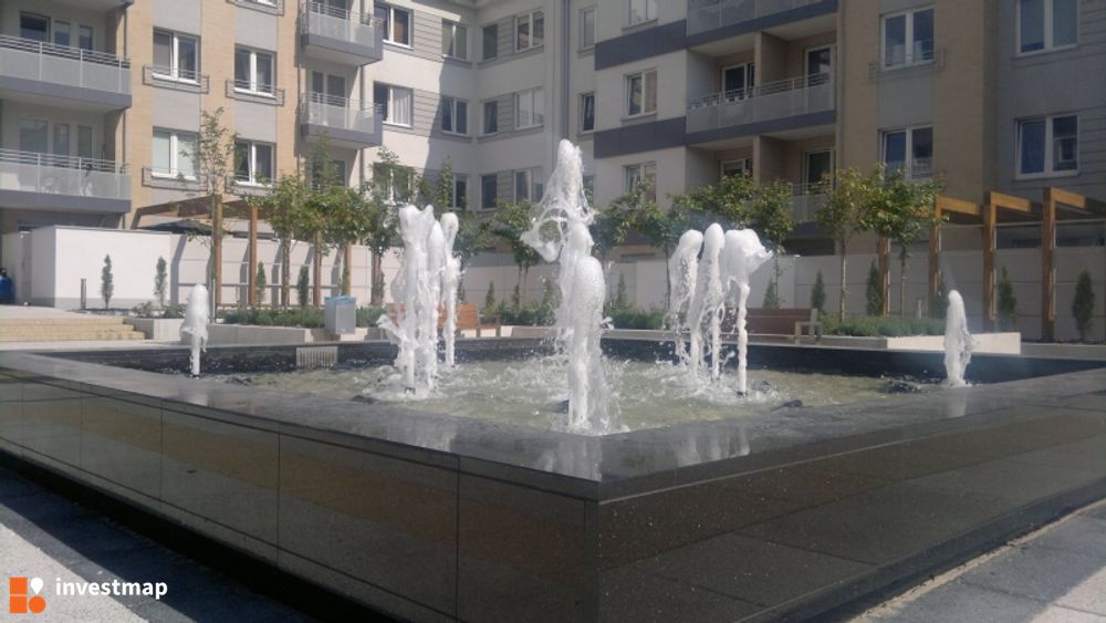 107296_1000x.jpg