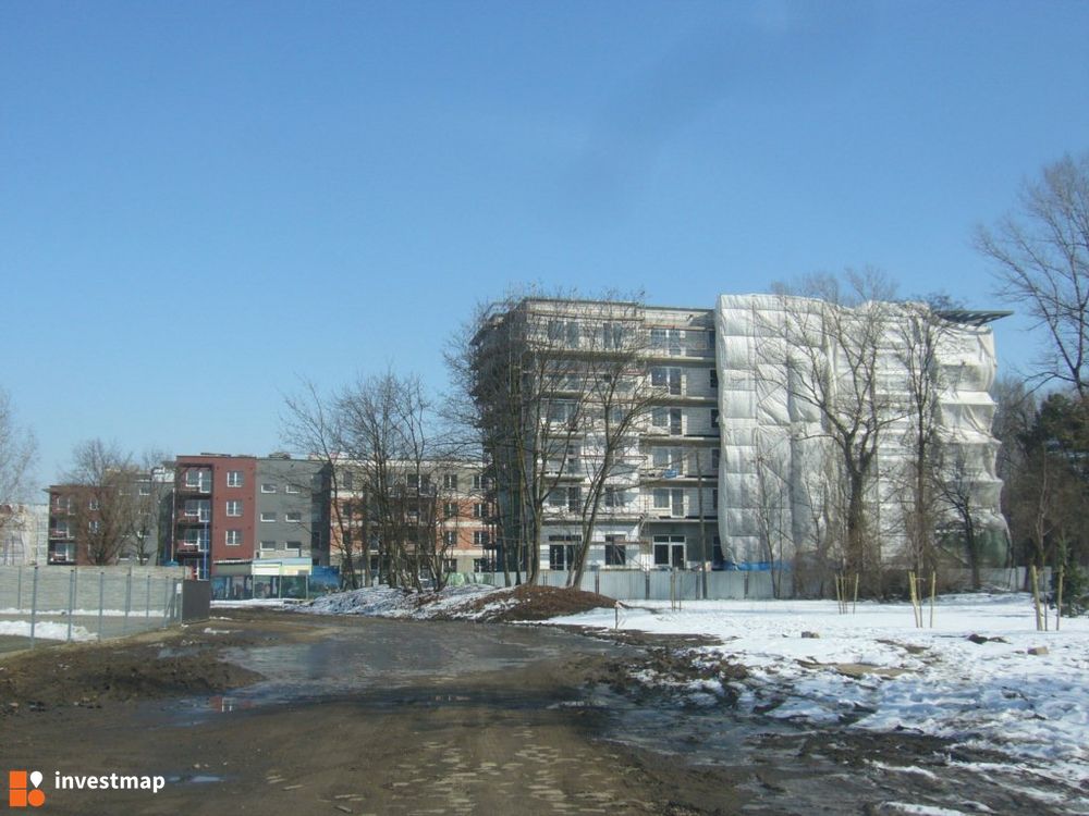 67361_1000x.jpg