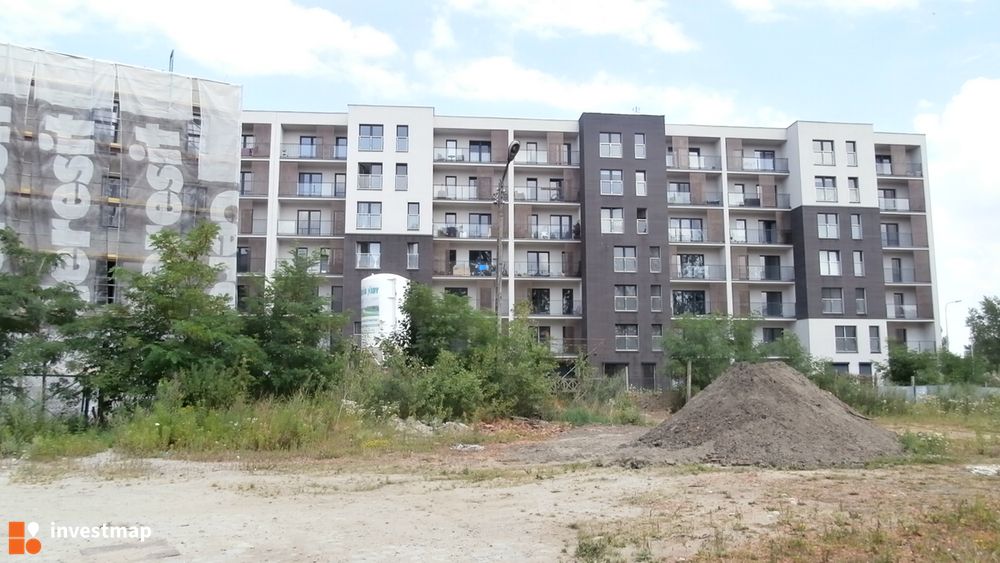 117797_1000x.jpg