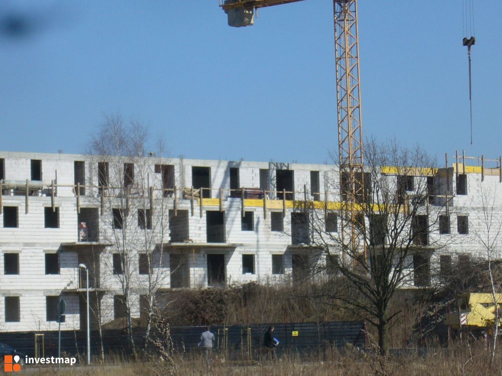 149542_1000x.jpg