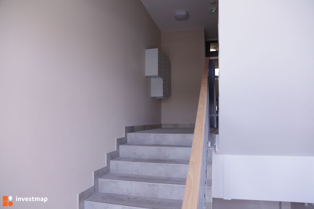 104487_1000x.jpg
