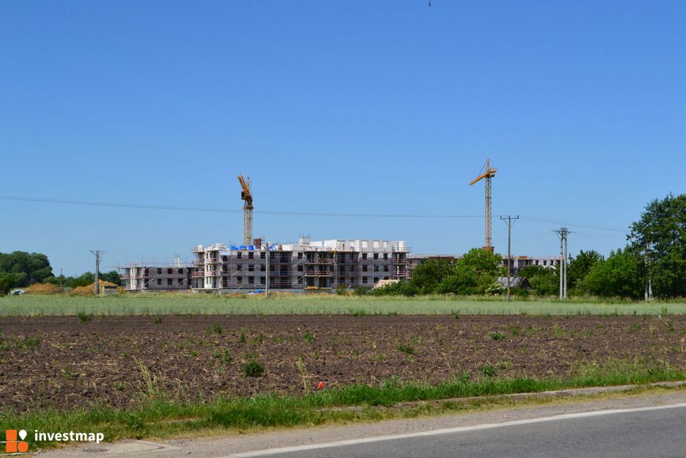 167975_1000x.jpg