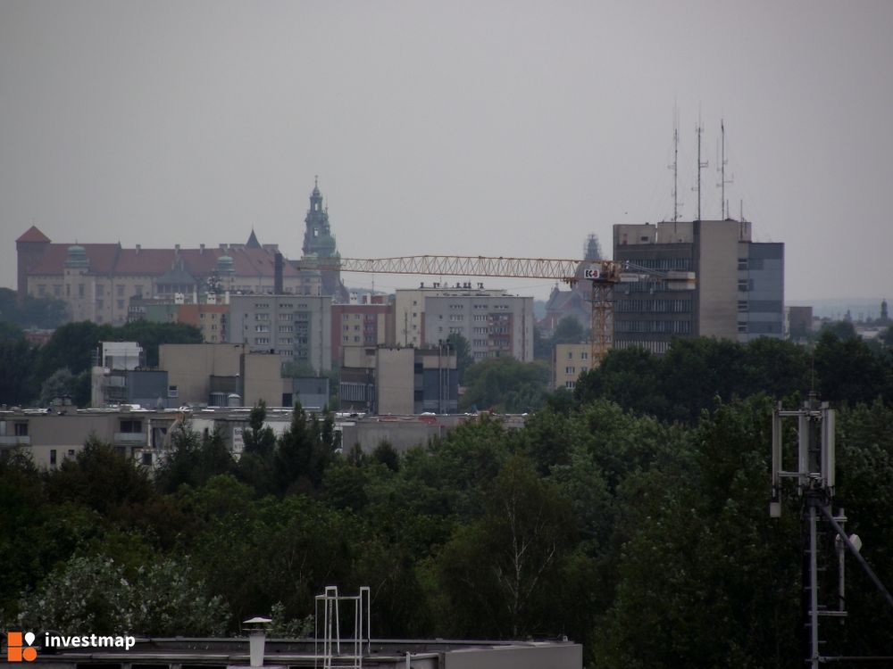83716_1000x.jpg