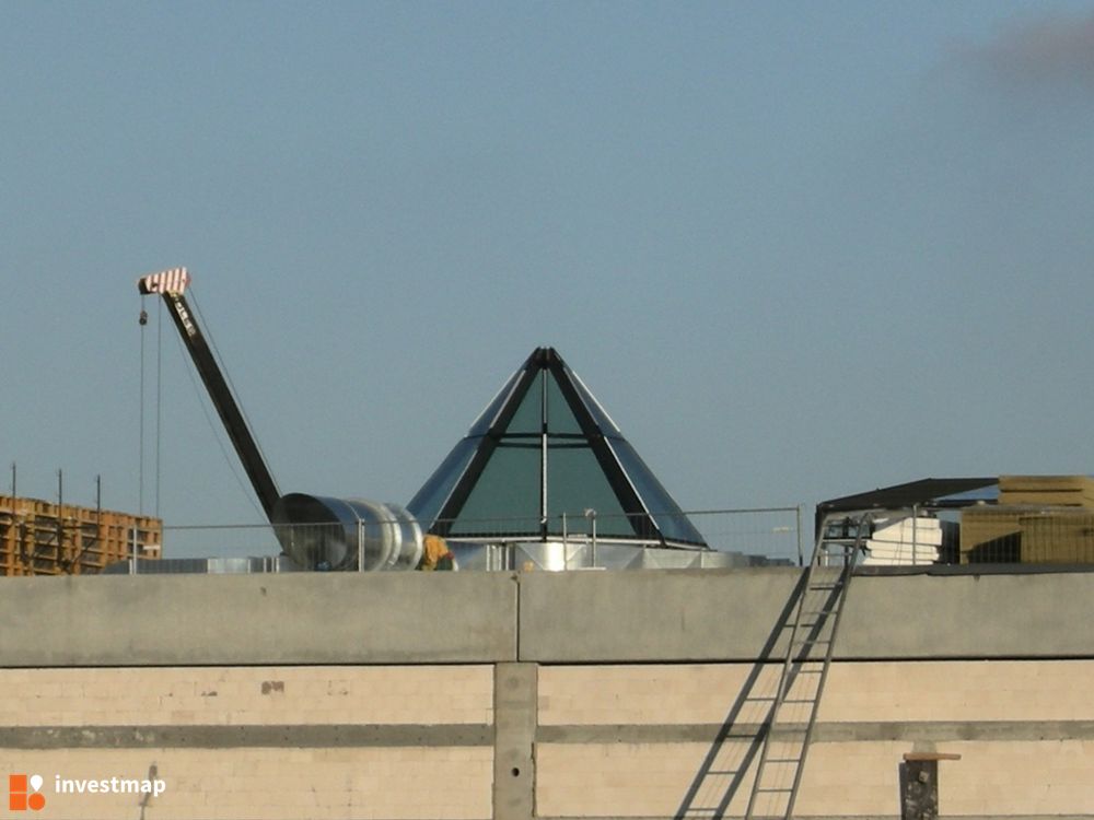 1320_1000x.jpg