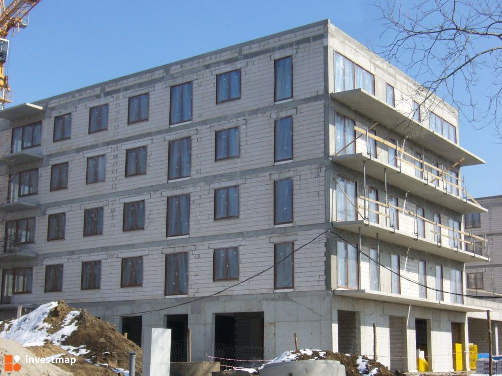 67369_1000x.jpg