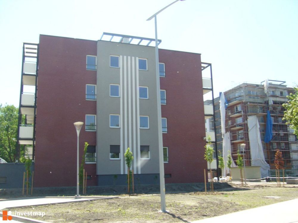 73513_1000x.jpg