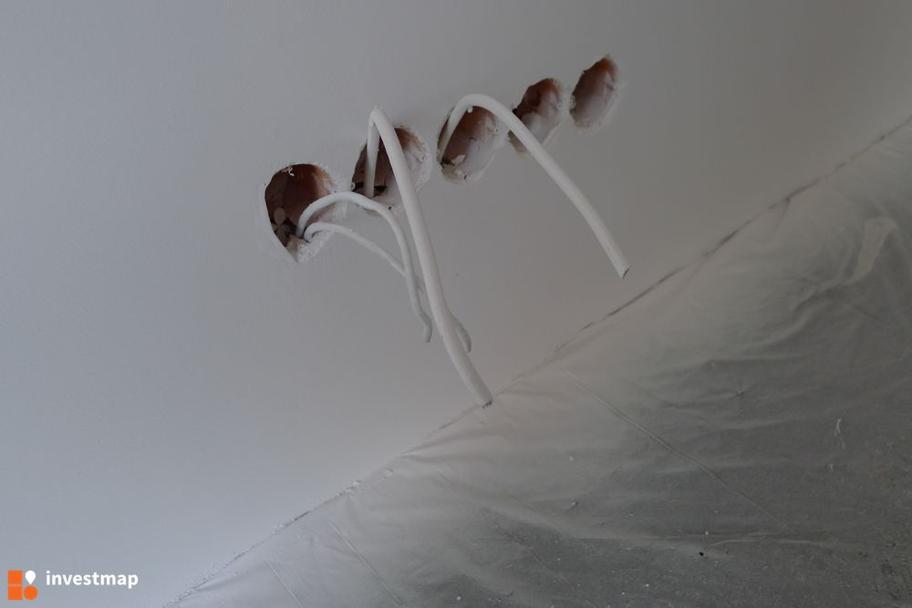 97323_1000x.jpg