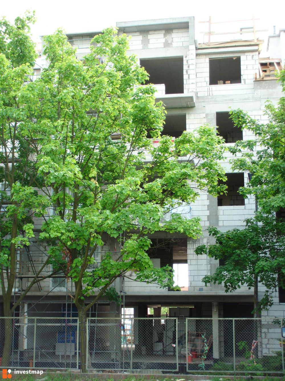 40748_1000x.jpg