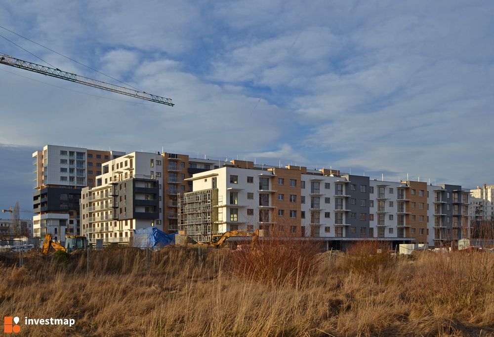 93996_1000x.jpg