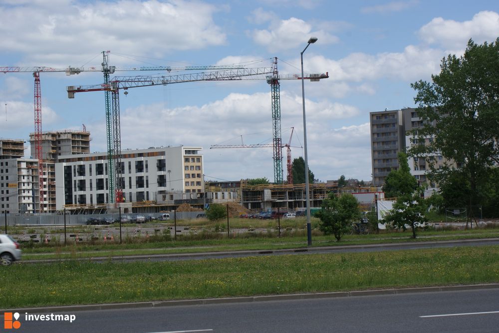 169524_1000x.jpg