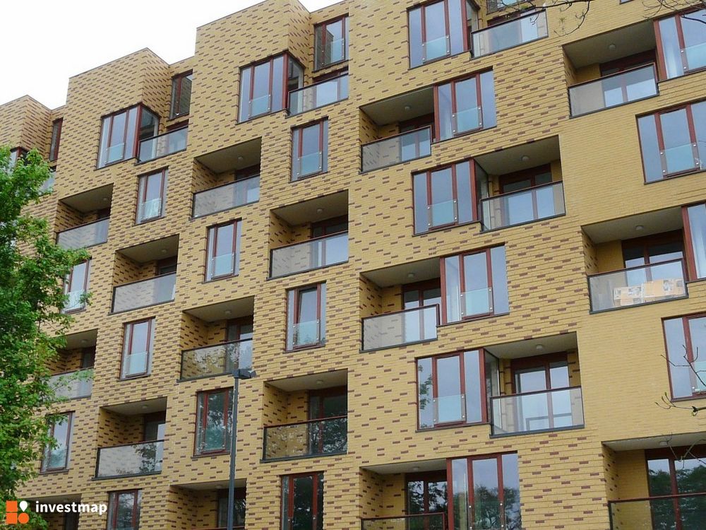 3892_1000x.jpg