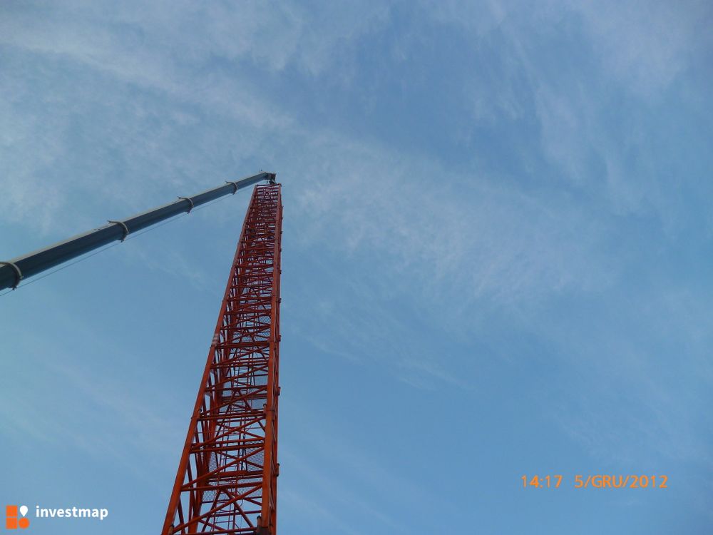 55351_1000x.jpg