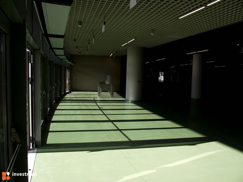 109113_1000x.jpg