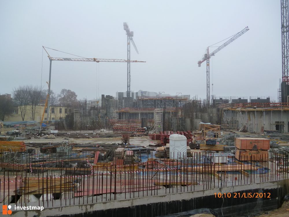 53817_1000x.jpg