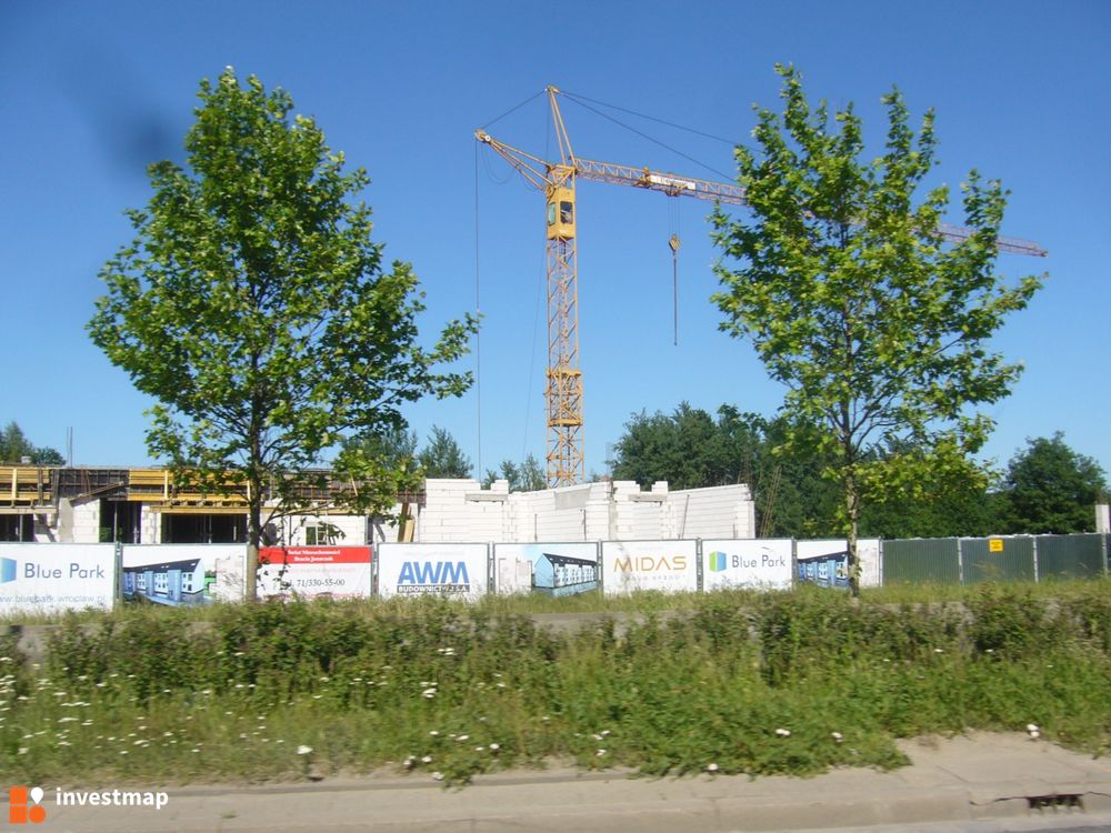 167739_1000x.jpg