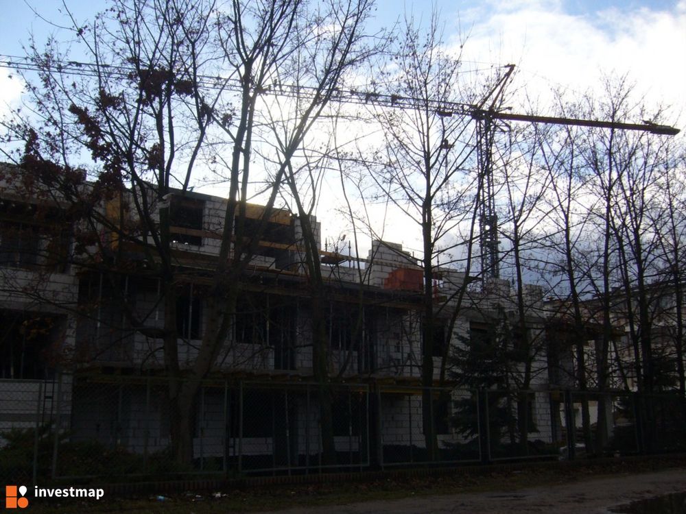 29243_1000x.jpg