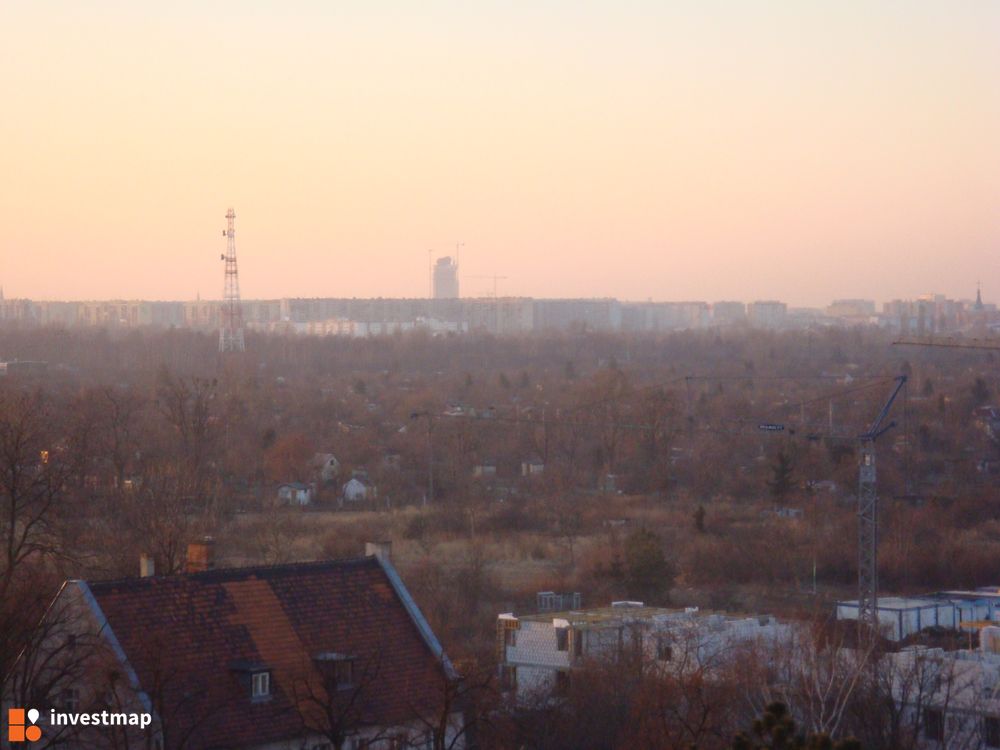 13830_1000x.jpg
