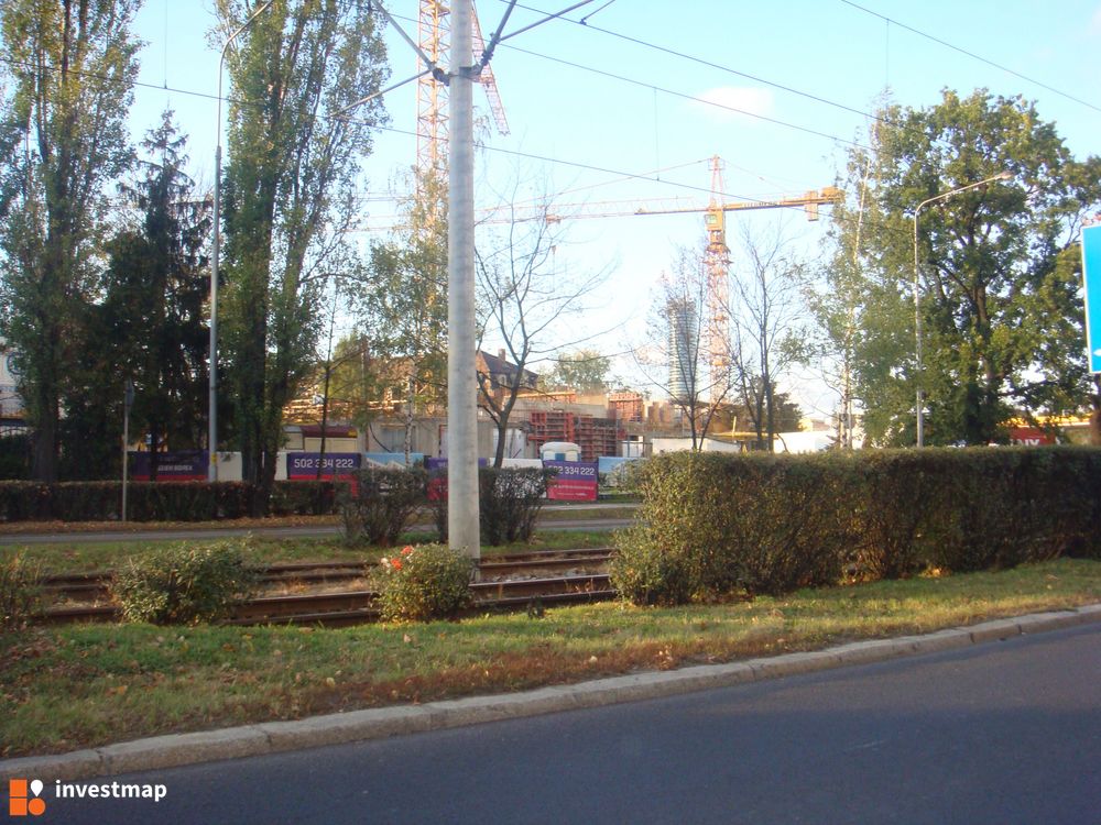 24124_1000x.jpg