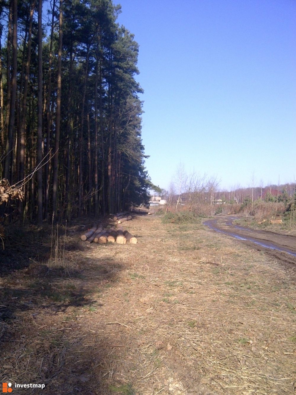 97085_1000x.jpg