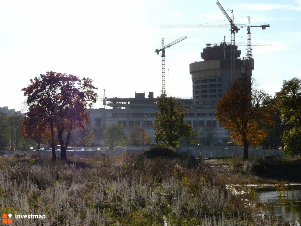 10047_1000x.jpg